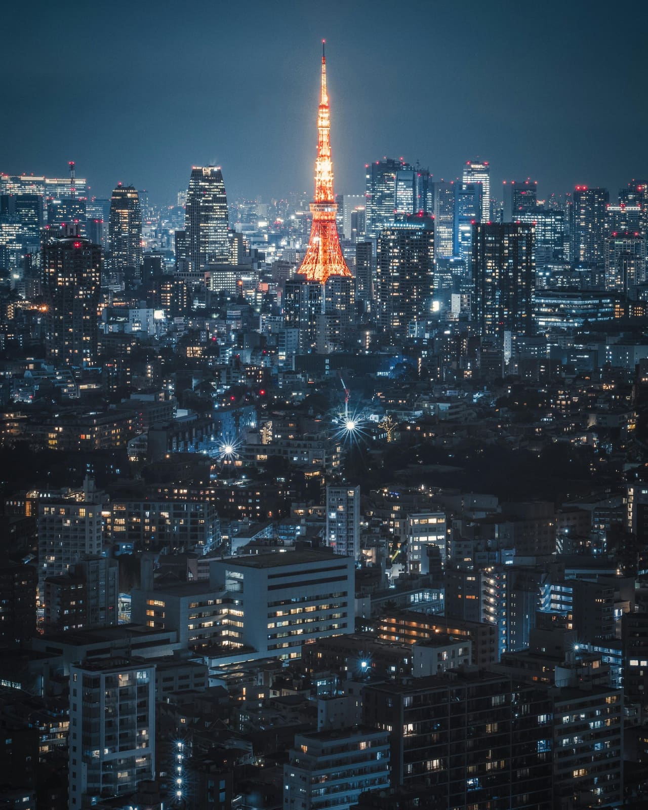 Tokyo Tower and city skyline from above